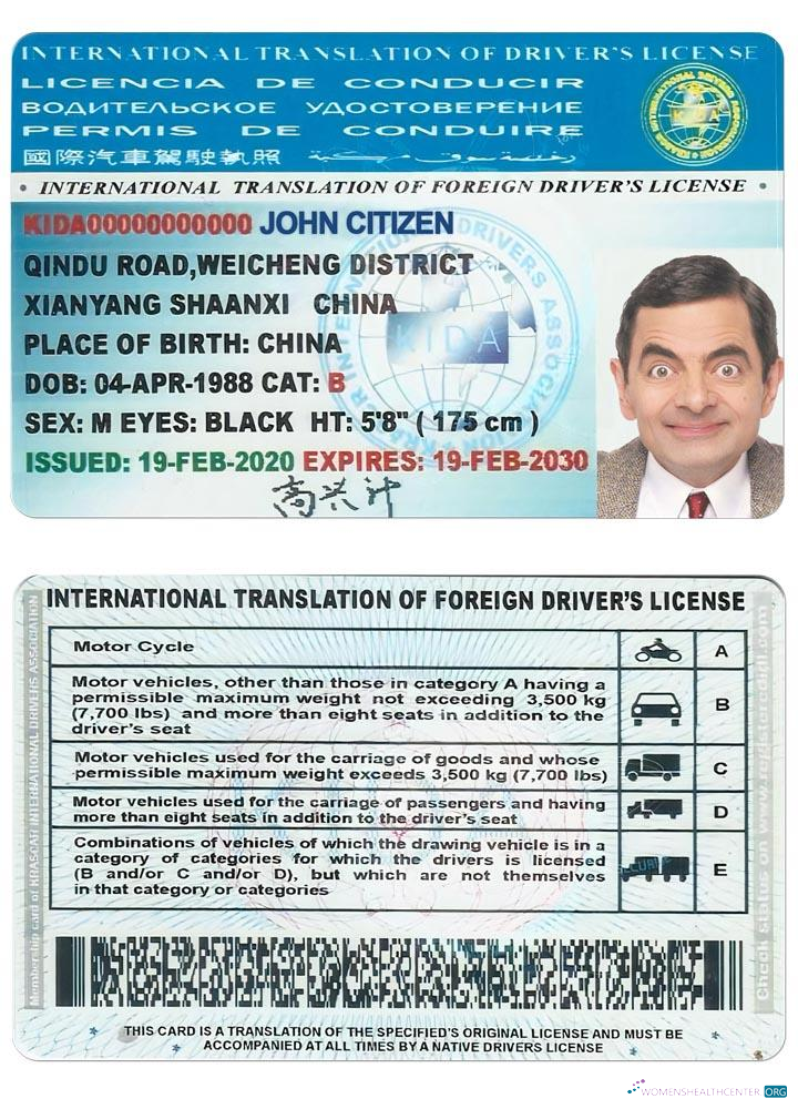 download International Translation of drivers license